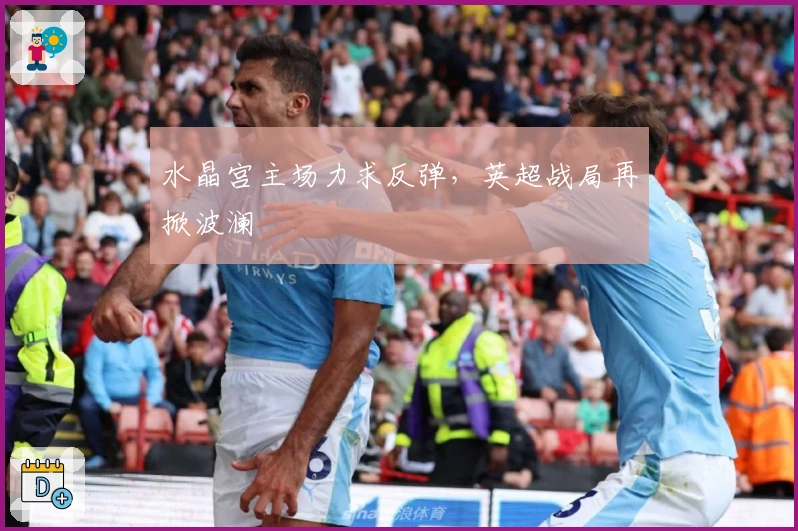 水晶宫主场力求反弹，英超战局再掀波澜