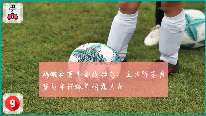 鹈鹕新赛季备战动态：主力阵容调整与年轻球员崭露头角