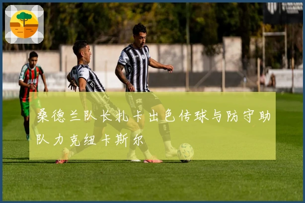 桑德兰队长扎卡出色传球与防守助队力克纽卡斯尔