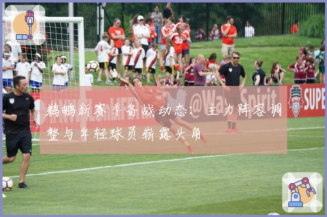 鹈鹕新赛季备战动态：主力阵容调整与年轻球员崭露头角